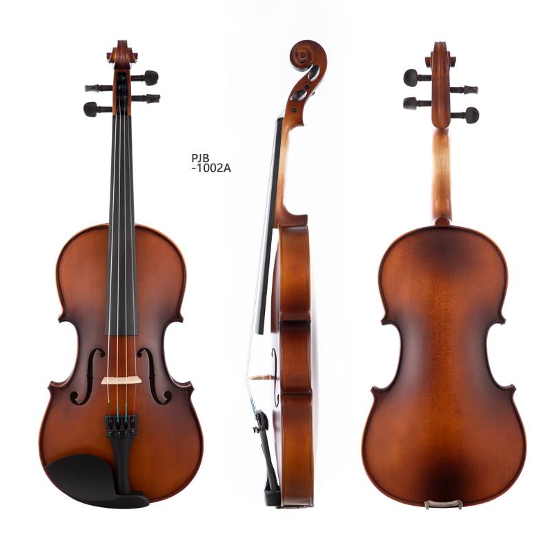 Kinglos Intermediate Acoustic Violins