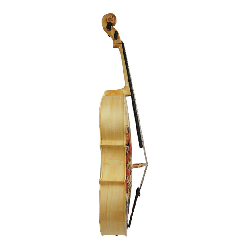 Acoustic Cello